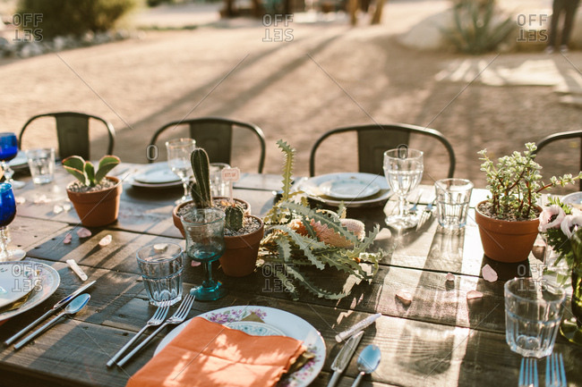 Table setting in the desert with cactus center piece