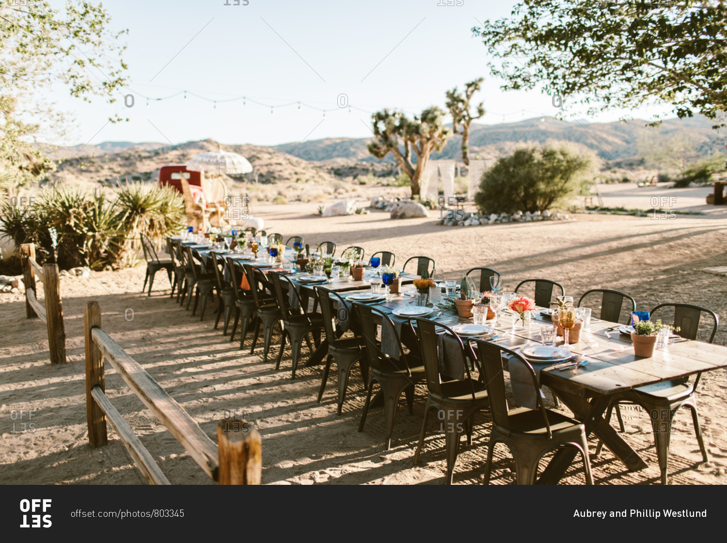 Outdoor wedding table setting in the desert with cactus center piece