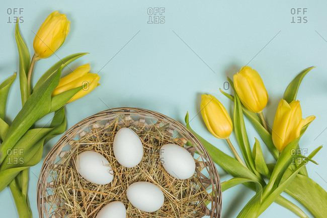 From above yellow blooms with green foliage on stems on colorful background