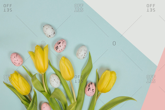 From above yellow blooms with green foliage on stems on colorful background