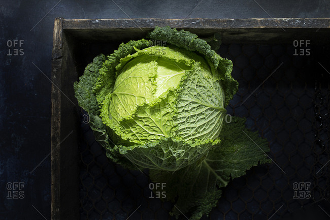 From above green head of savoy cabbage in wooden box