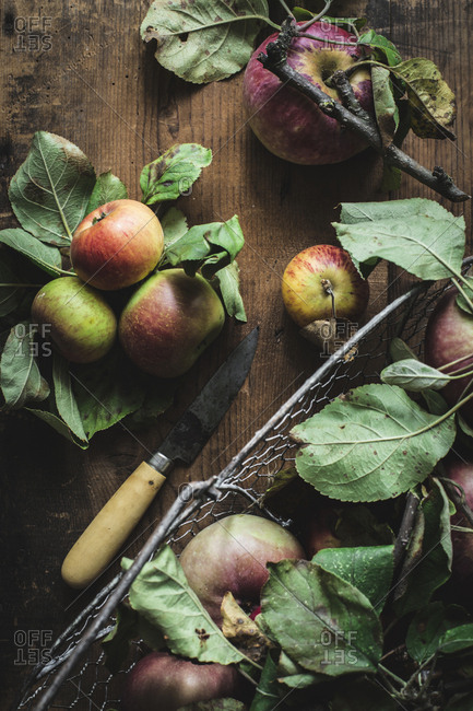 Apples and knife on plate
