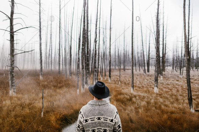 Man looking out toward a river in a foggy forest