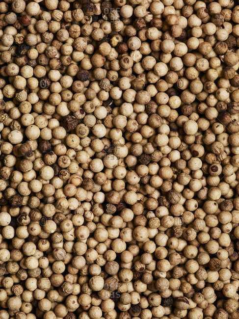 An overhead view of many white peppercorns filling the frame.