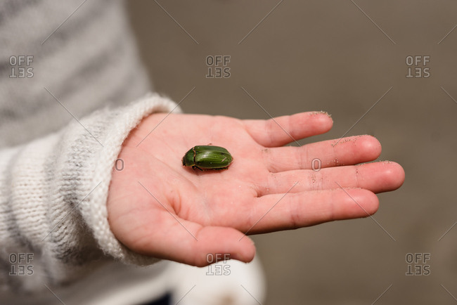 Girl holding a green beetle in her hand