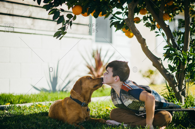 Dog kissing boy's face underneath an orange tree