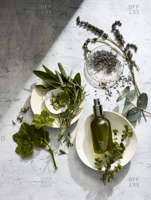 Lavender, eucalyptus, and sage essential oils setting.