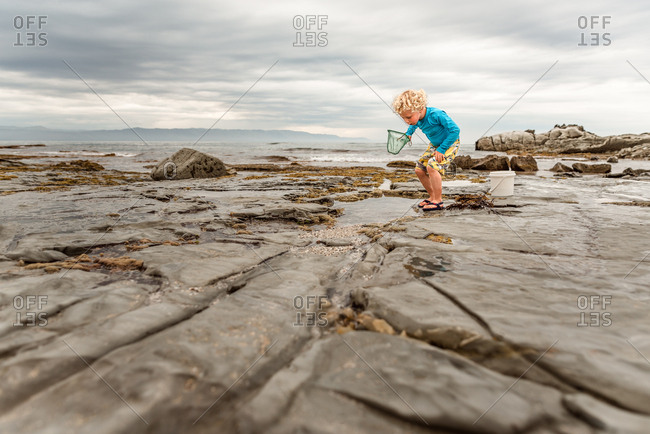 Young boy exploring a tidal pool by the bay