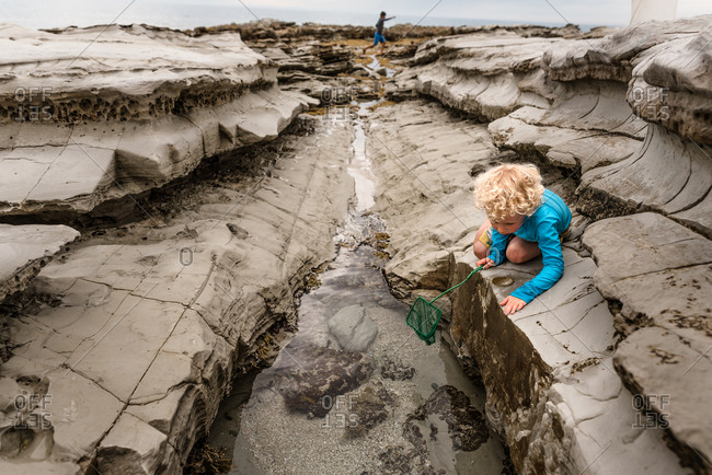 Boys exploring tide pools by the bay