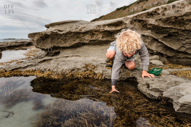 Young boy reaching into a ride pool by the bay