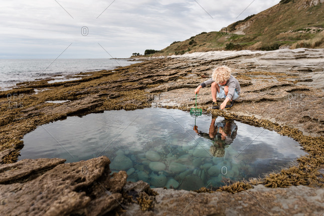 Young boy trawling a tide pool for treasure