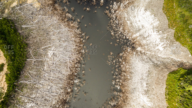 Aerial view of water stream creating abstract texture, Tasmania.