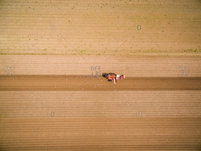 Aerial view of machinery seeding field for agriculture, Netherlands.