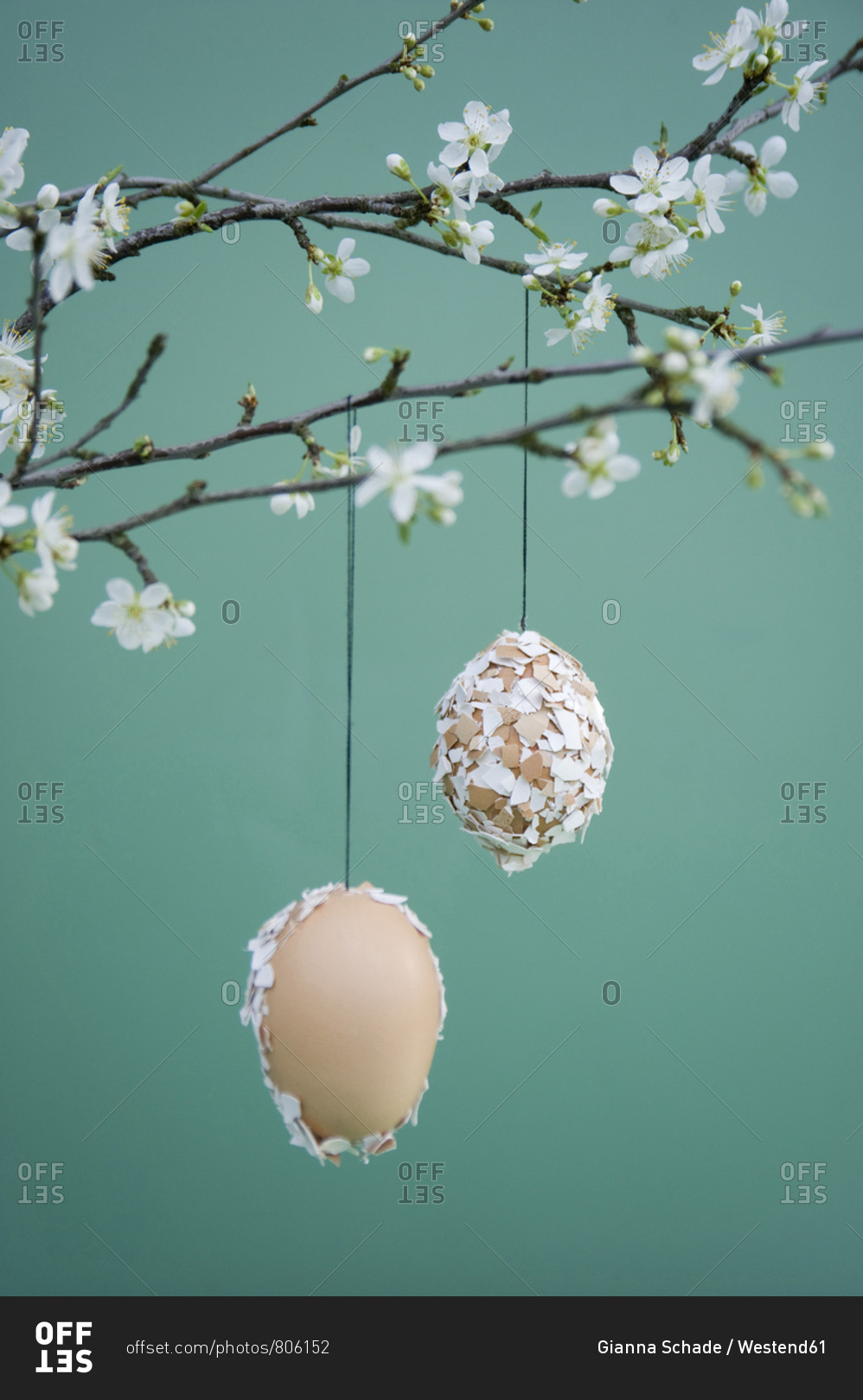 Easter decoration- Easter egg with eggshells hanging on twig