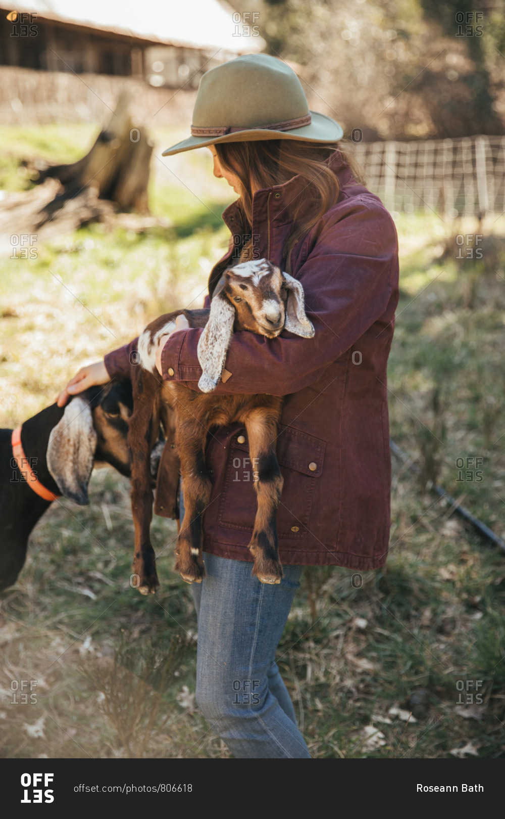 Woman holding a baby goat petting a mama goat.