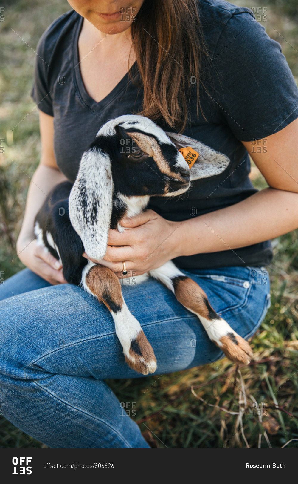 Woman holding a baby goat on her lap.