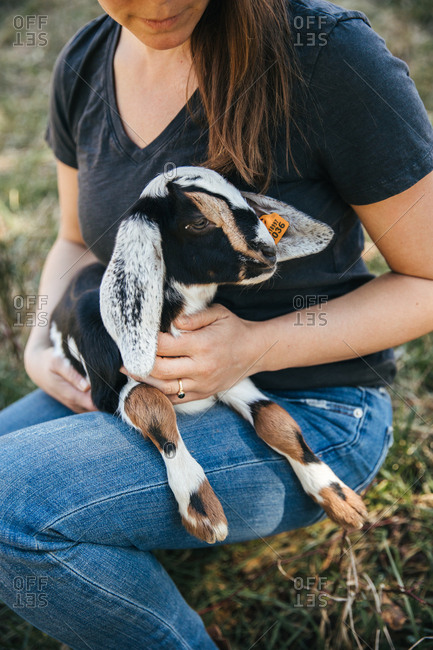 Woman holding a baby goat on her lap.