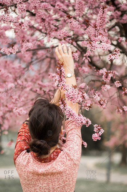 Woman holds onto a cherry blossom branch