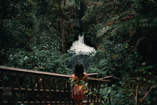 From above back view of female on stairs looking at narrow fast river with cascade between green exotic trees of forest