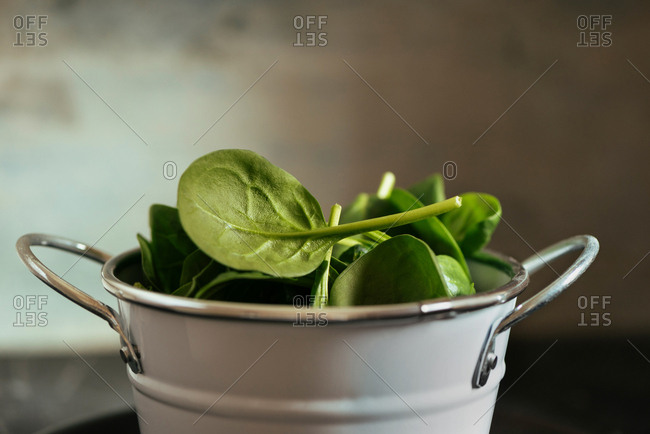 Fresh spinach on a rustic white metal crockery bowl, grunge background