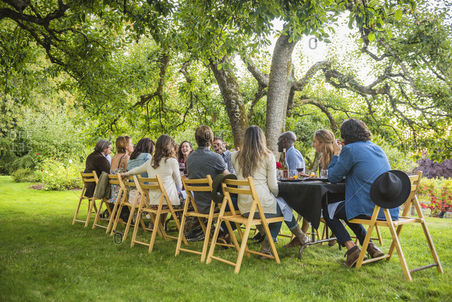 Friends enjoying wine at party outdoors, Langly, Washington, USA
