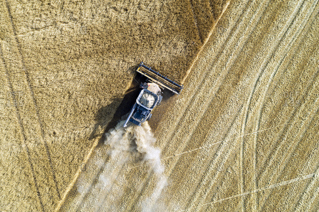 View from directly above of a combine cutting a barley field; Blackie, Alberta, Canada