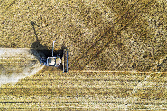 View from directly above of a combine cutting a barley field; Blackie, Alberta, Canada