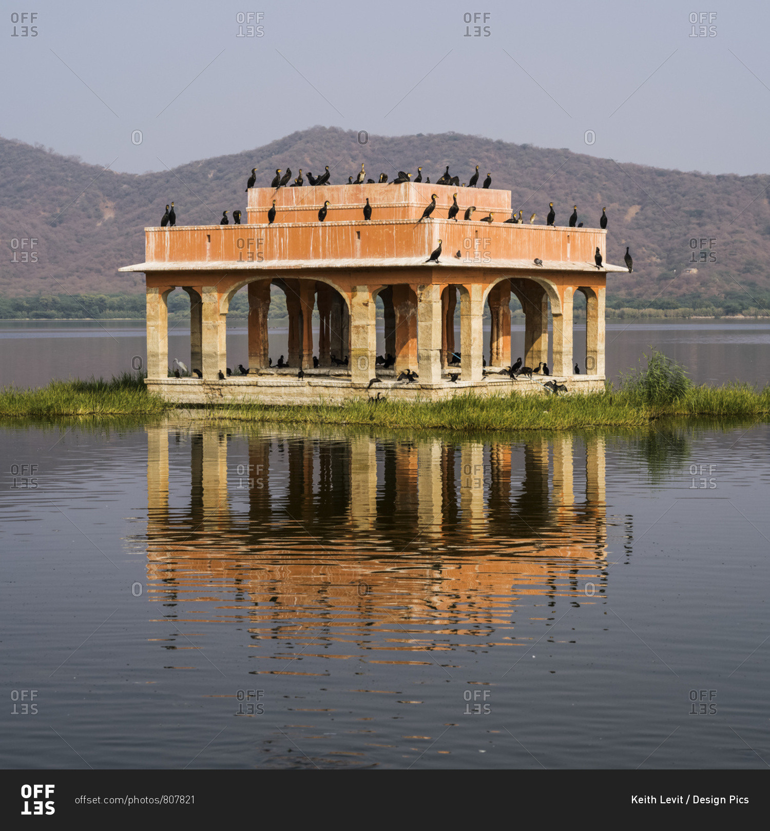 Jal Mahal Palace Submerged In Man Sugar Lake With Birds Perched On It Jaipur Rajasthan India Stock Photo Offset