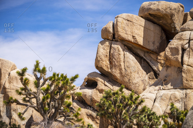 A cave-like hollow in a large rock formation, Joshua Tree National Park, California, United States of America