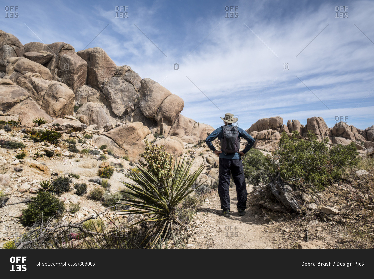 A senior man standing on a trail in Joshua Tree National Park looking at rock formations; California, United States of America