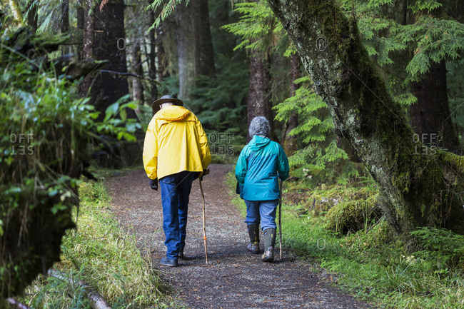 A senior couple walking on Golden Spruce Trail in an old growth forest; Port Clement, Haida Gwaii, British Columbia, Canada