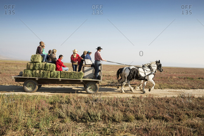 USA, Nevada, Wells, - September 20, 2014:  guests can participate in Horse-Drawn Wagon Rides during their stay at Mustang Monument, A sustainable luxury eco friendly resort and preserve for wild horses, Saving America's Mustangs Foundation