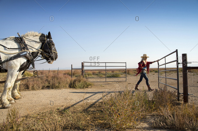 USA, Nevada, Wells, - September 20, 2014:  guests can participate in Horse-Drawn Wagon Rides during their stay at Mustang Monument, A sustainable luxury eco friendly resort and preserve for wild horses, Saving America's Mustangs Foundation