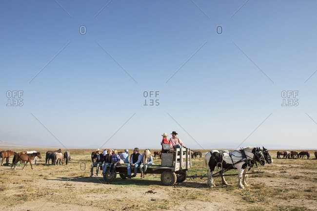 USA, Nevada, Wells, - September 20, 2014:  guests can participate in Horse-Drawn Wagon Rides during their stay at Mustang Monument, A sustainable luxury eco friendly resort and preserve for wild horses, Saving America's Mustangs Foundation