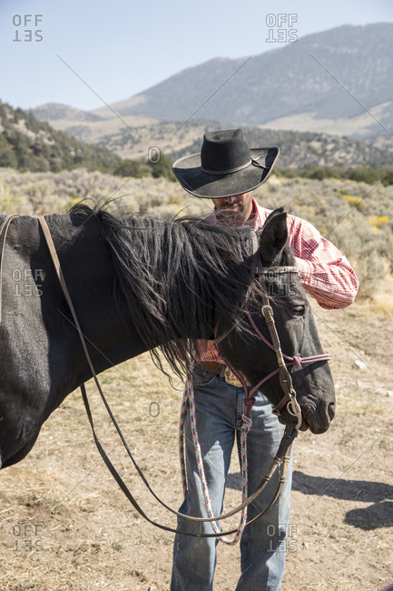 USA, Nevada, Wells, - September 20, 2014:  cowboy and wrangler Clay Nannini prepares for a Horse-Drawn Wagon Ride at Mustang Monument, A sustainable luxury eco friendly resort and preserve for wild horses, Saving America's Mustangs Foundation