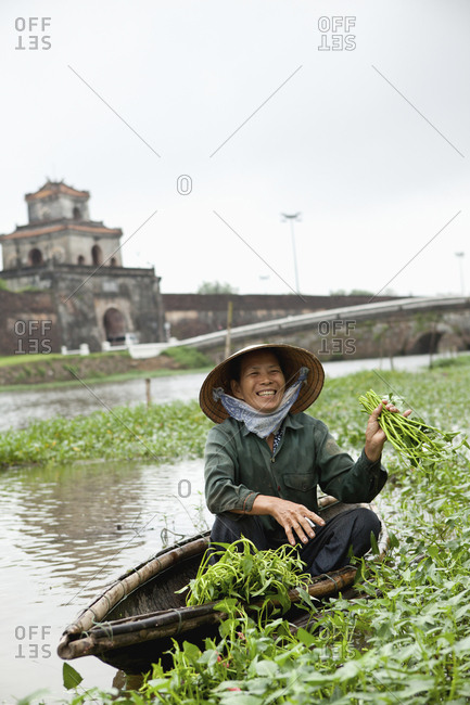 VIETNAM, Hue,  - April 16, 2010: Nguyen Thi Ngan picks a leafy green vegetable called rau muong in the Citadel canal