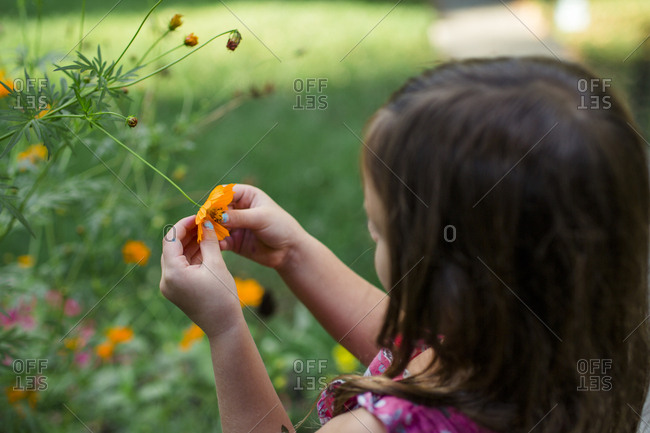 a little girl explores flowers in her garden