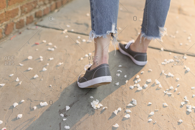 grey sneakers backlit with flower pedals
