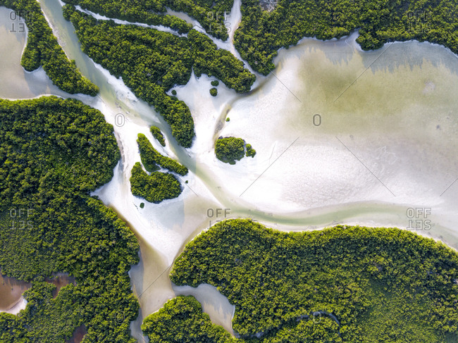 Aerial view of water flowing from the ocean to the rainforests on the island Holbox in Mexico