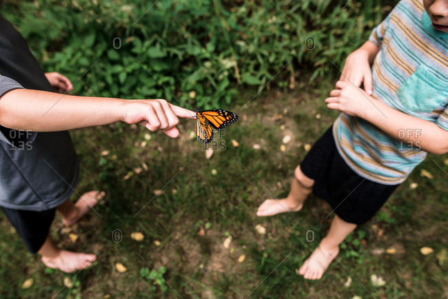 Boy holding Monarch butterfly on finger while another boy looks on