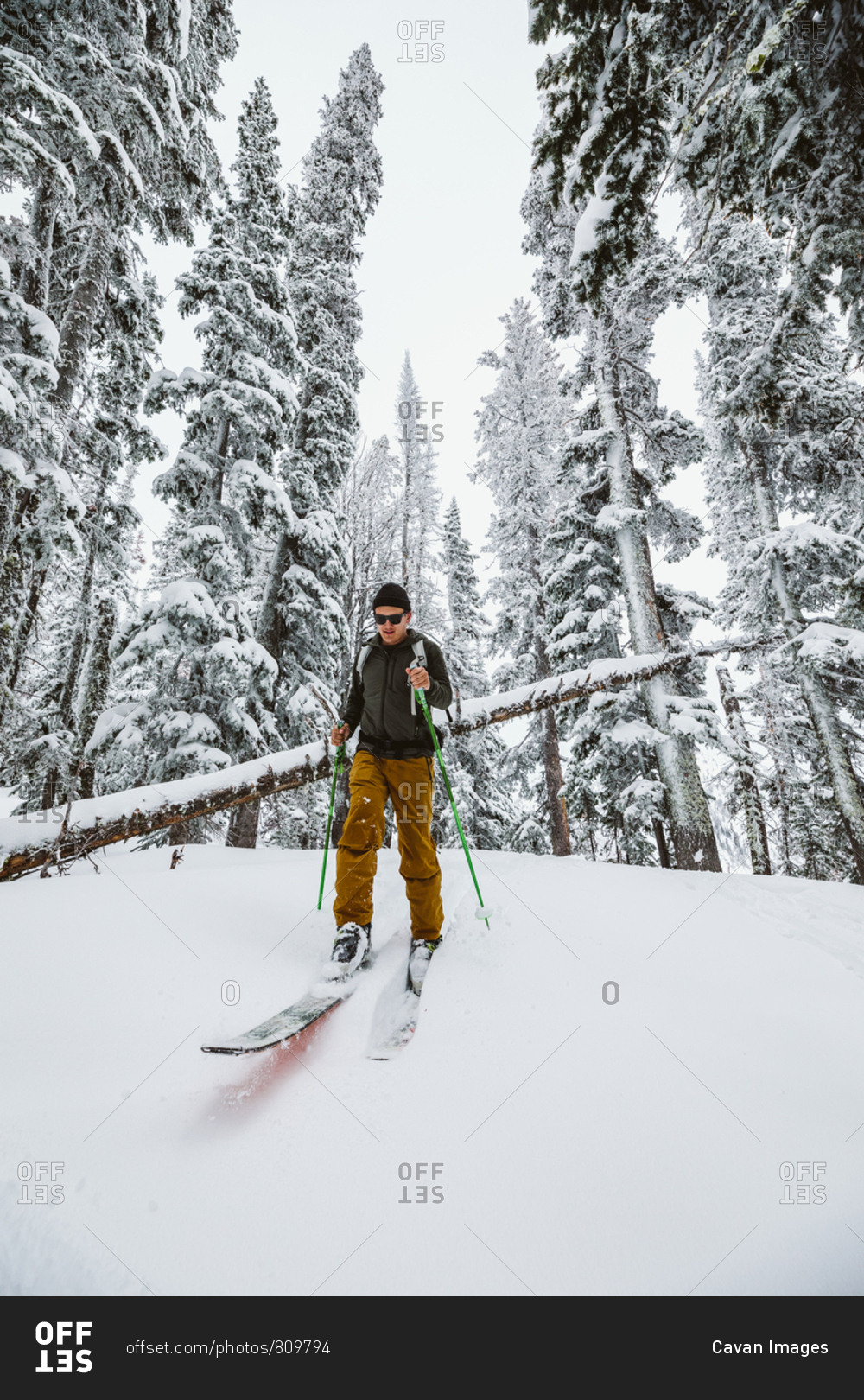 Lone skier comes out the trees during a winter adventure