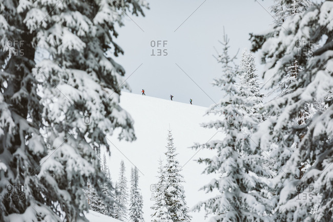 January 20, 2019: Three skiers skin uphill in the distant Wyoming backcountry winter