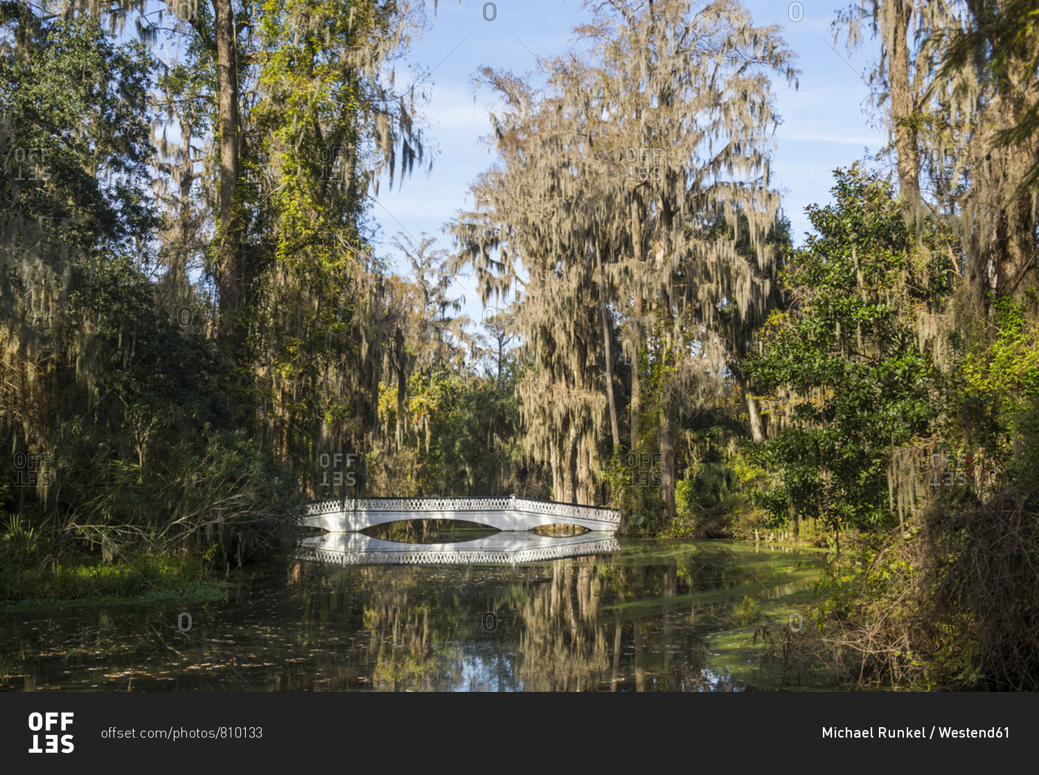 USA- South Carolina- Charleston- White bridge reflecting in a pond in the Magnolia Plantation