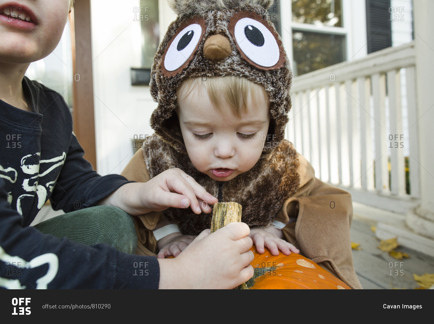 Toddler boy dressed up as an owl closely inspects Halloween pumpkin