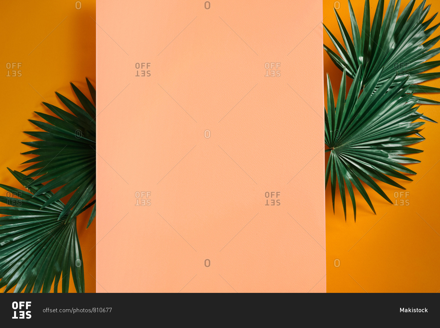 Composition Of Green Leaves With A Blank Paper. Summer Frame Concept. Flat lay.