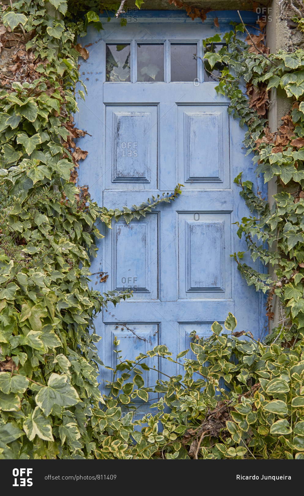 Blue door surrounded by vines, Piodao Village, Portugal