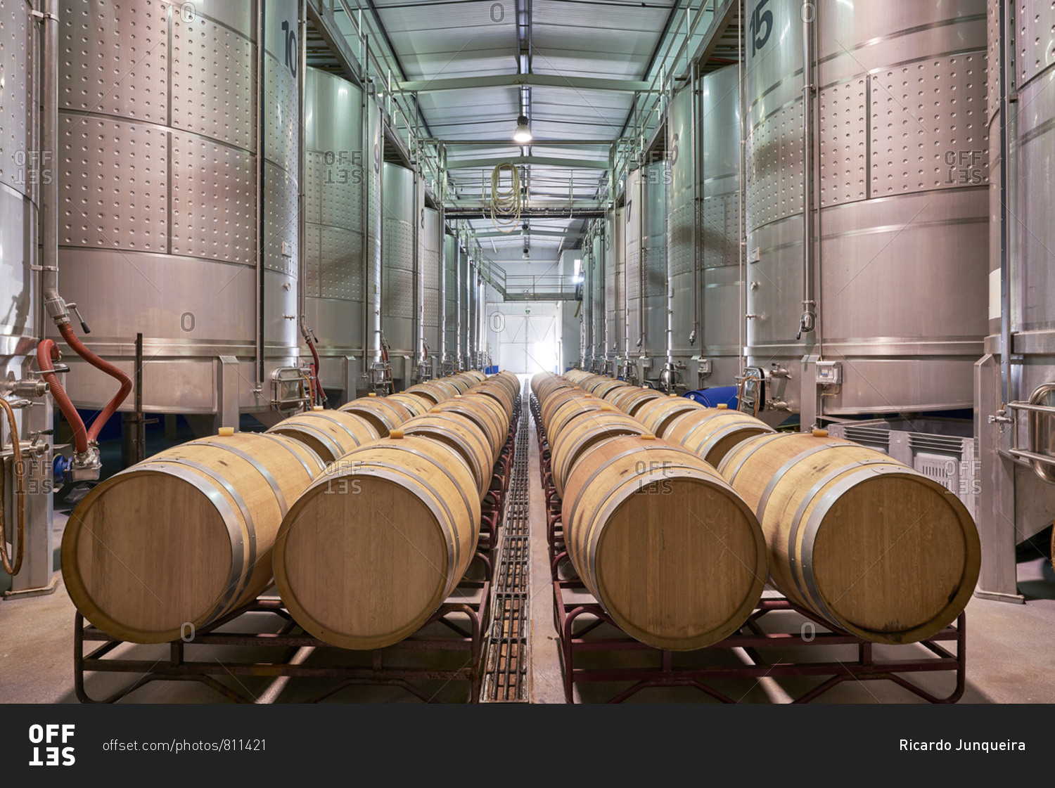 Fermentation tanks and aging wine barrels
