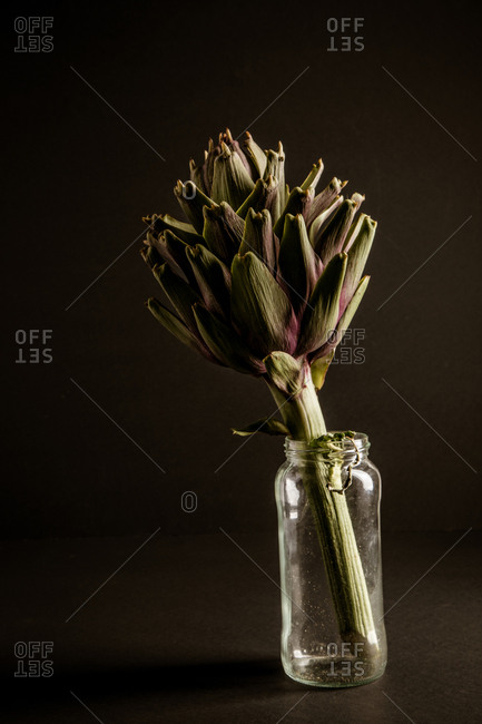 Fresh ripe artichoke place inside tiny glass bottle against black background