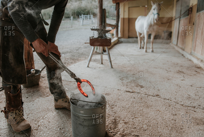 Adult farrier using hammer and tongs to forge hot horseshoe on portable anvil near stable on ranch