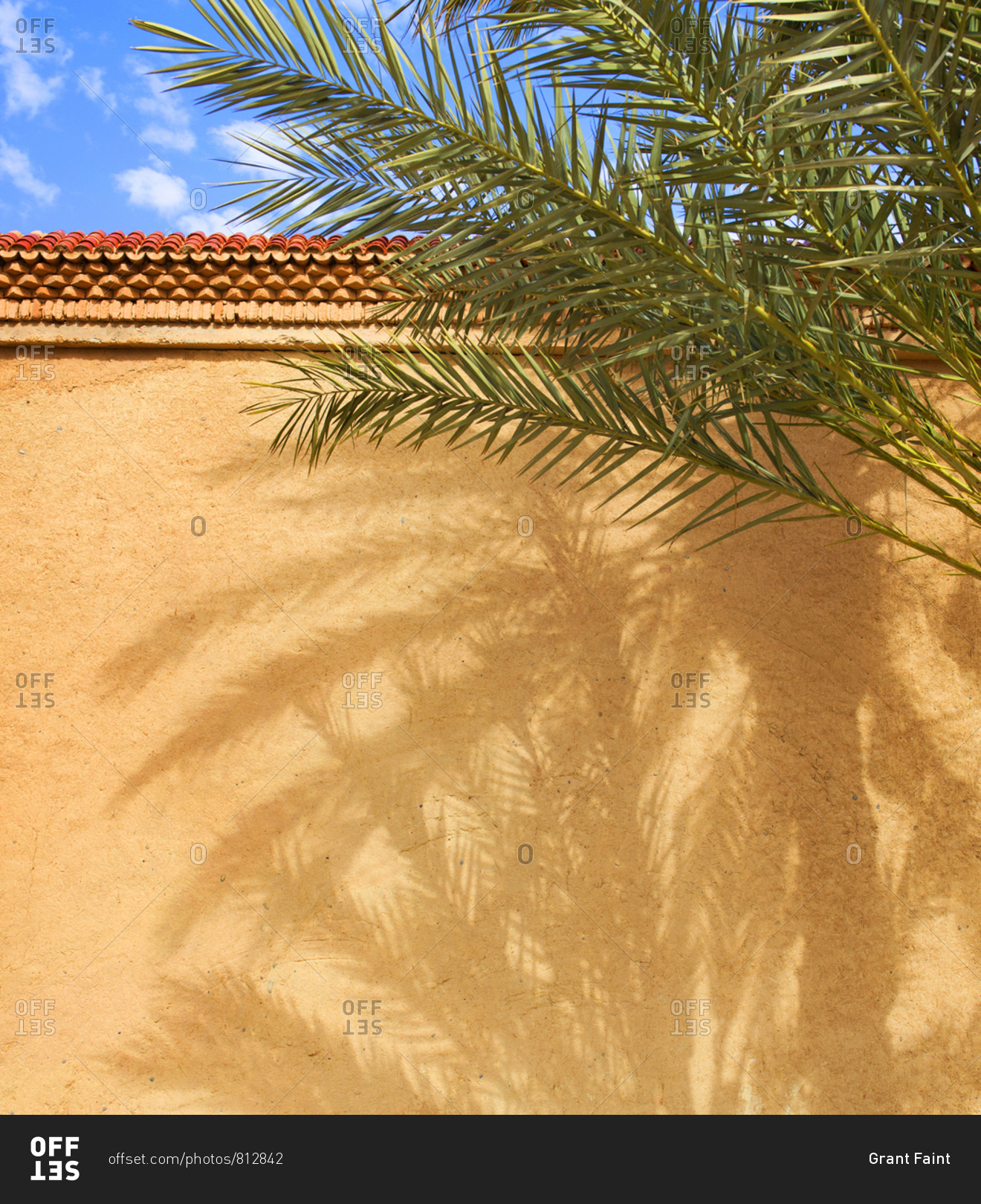 Hotel wall and date palm tree with shadows, Erfoud, Morocco